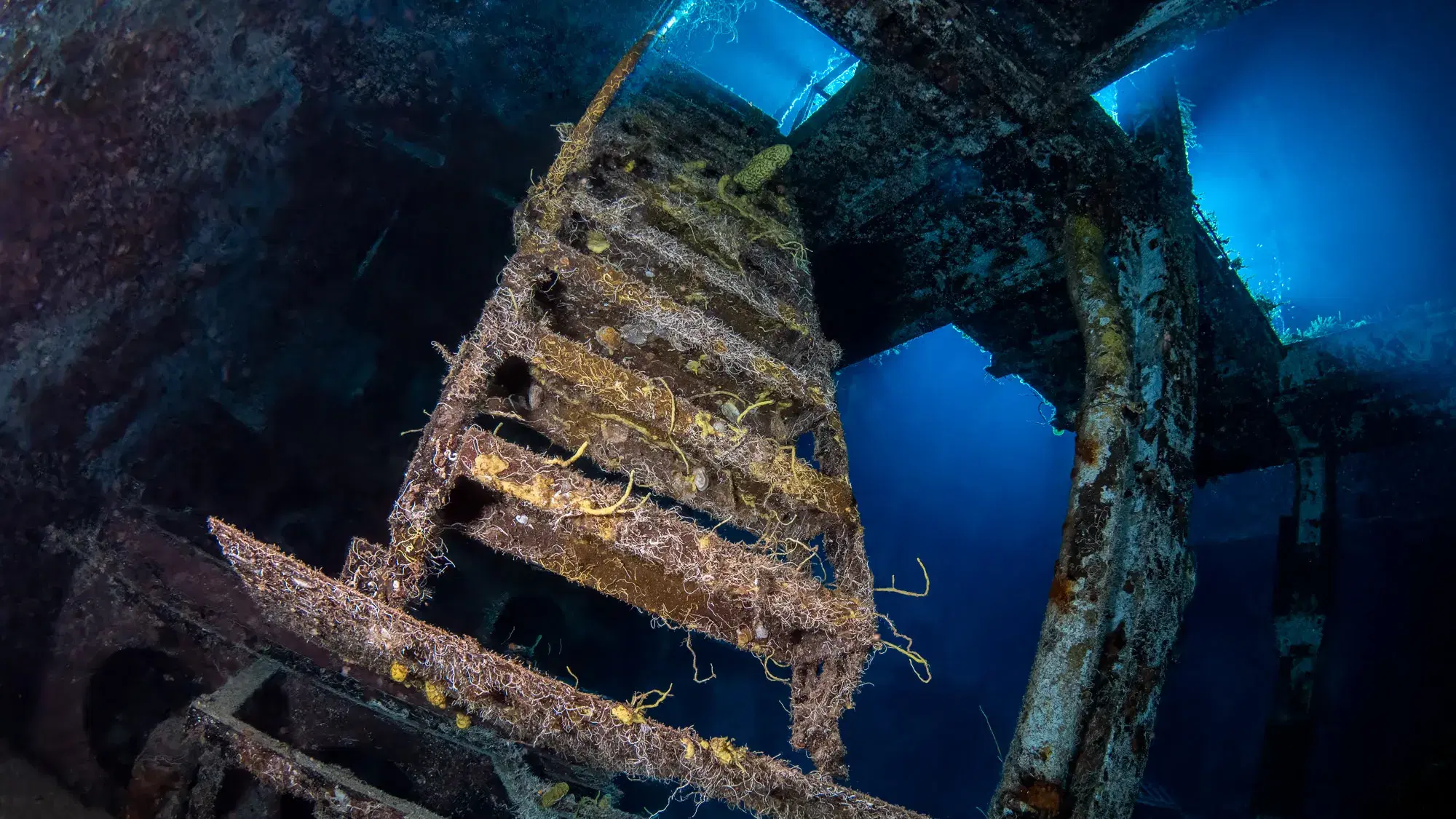 Shipwreck staircase photographed by Damon Bates